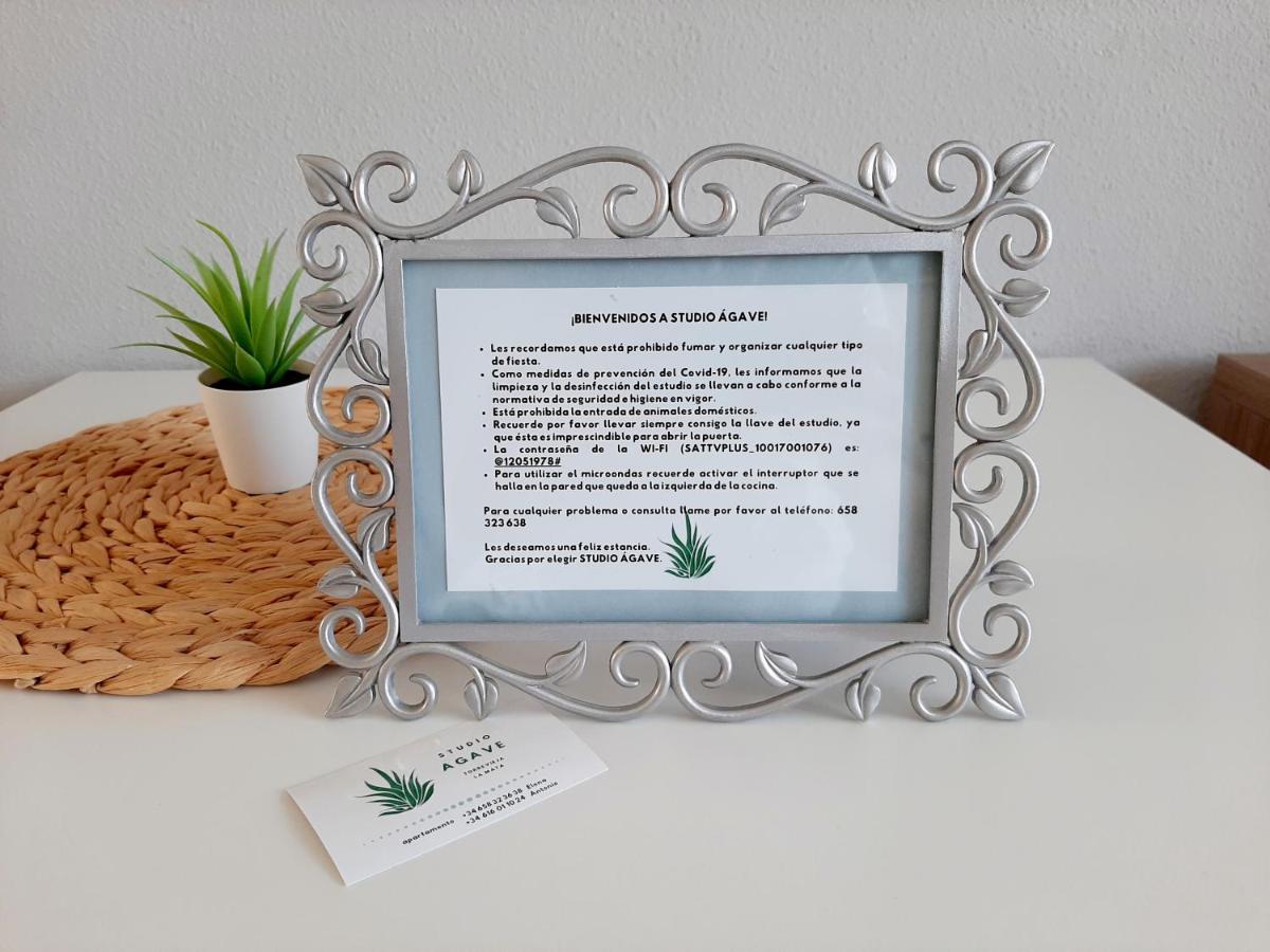 Studio Agave Daire Torrevieja Dış mekan fotoğraf